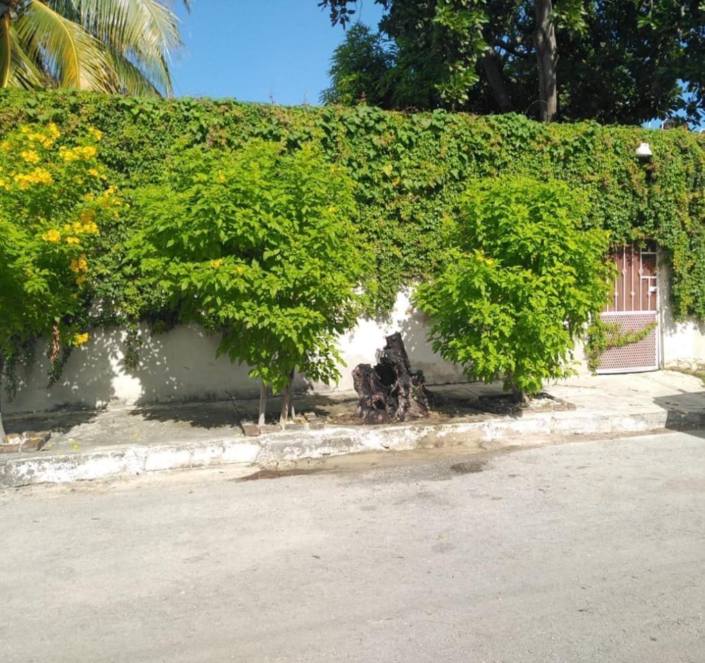 Bonita Casa A Dos Cuadras Del Mar Villa ปลายาเดลการ์เมน ภายนอก รูปภาพ